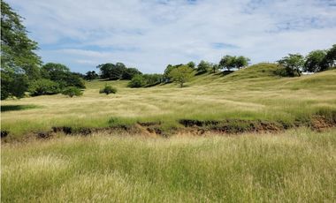VENDO FINCA GANADERA POR PUERTO SALGAR 402 CUADRAS