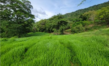 VENDO FINCA GANADERA POR PUERTO SALGAR 402 CUADRAS