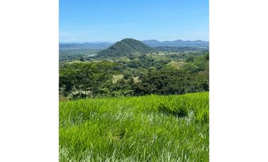 VENDO FINCA GANADERA POR PUERTO SALGAR 402 CUADRAS