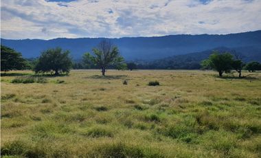 VENDO FINCA GANADERA POR PUERTO SALGAR 402 CUADRAS