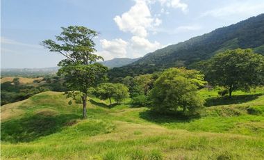 VENDO FINCA GANADERA POR PUERTO SALGAR 402 CUADRAS