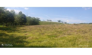 VENDO LOTES DE 1500, 2000 Y 4450 M2 CONDOMINIO ITALIA, ALCALA