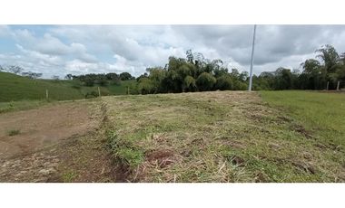 VENDO LOTES DE 1500, 2000 Y 4450 M2 CONDOMINIO ITALIA, ALCALA