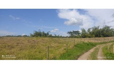 VENDO LOTES DE 1500, 2000 Y 4450 M2 CONDOMINIO ITALIA, ALCALA