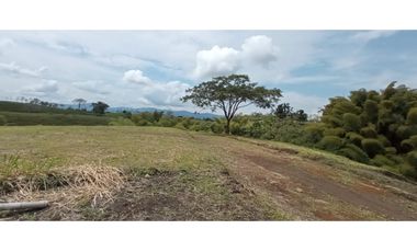 VENDO LOTES DE 1500, 2000 Y 4450 M2 CONDOMINIO ITALIA, ALCALA