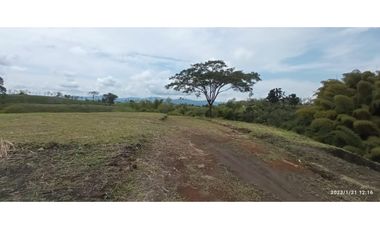 VENDO LOTES DE 1500, 2000 Y 4450 M2 CONDOMINIO ITALIA, ALCALA