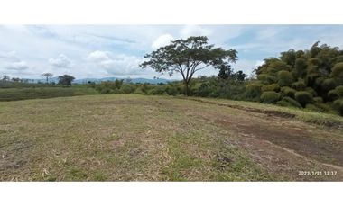 VENDO LOTES DE 1500, 2000 Y 4450 M2 CONDOMINIO ITALIA, ALCALA