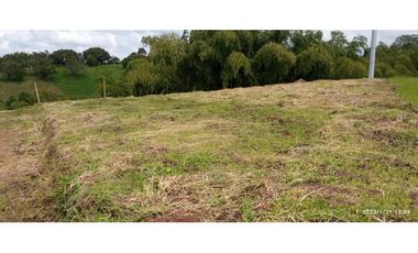 VENDO LOTES DE 1500, 2000 Y 4450 M2 CONDOMINIO ITALIA, ALCALA