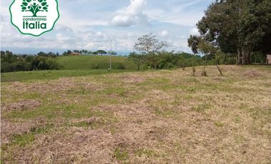 VENDO LOTES DE 1500, 2000 Y 4450 M2 CONDOMINIO ITALIA, ALCALA