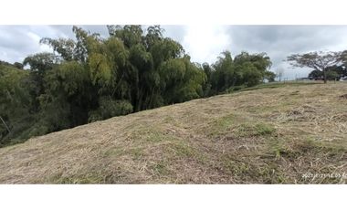 VENDO LOTES DE 1500, 2000 Y 4450 M2 CONDOMINIO ITALIA, ALCALA