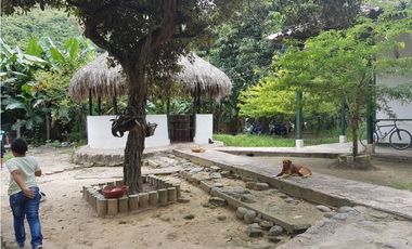 VENDO FINCA GANADERA 974 HECTAREAS GUALANDAY, TOLIMA