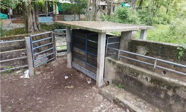 VENDO FINCA GANADERA 974 HECTAREAS GUALANDAY, TOLIMA