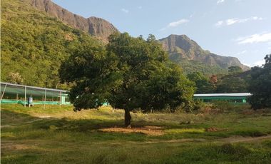 VENDO FINCA GANADERA 974 HECTAREAS GUALANDAY, TOLIMA