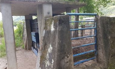 VENDO FINCA GANADERA 974 HECTAREAS GUALANDAY, TOLIMA