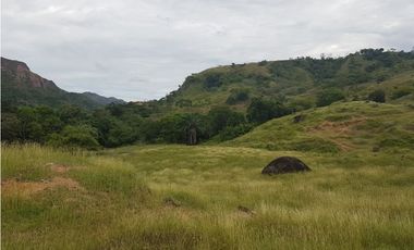 VENDO FINCA GANADERA 974 HECTAREAS GUALANDAY, TOLIMA