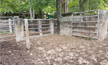 VENDO FINCA GANADERA 974 HECTAREAS GUALANDAY, TOLIMA