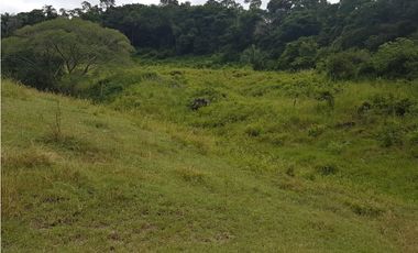 VENDO FINCA GANADERA 974 HECTAREAS GUALANDAY, TOLIMA