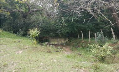 VENDO FINCA GANADERA 974 HECTAREAS GUALANDAY, TOLIMA