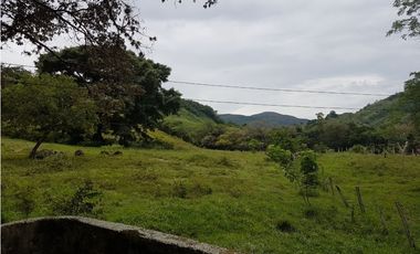 VENDO FINCA GANADERA 974 HECTAREAS GUALANDAY, TOLIMA