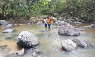 VENDO FINCA GANADERA 974 HECTAREAS GUALANDAY, TOLIMA