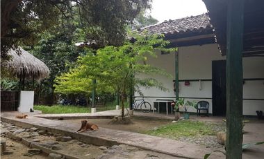 VENDO FINCA GANADERA 974 HECTAREAS GUALANDAY, TOLIMA