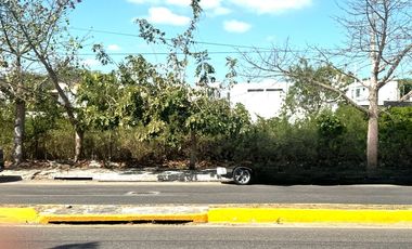 Terreno en Avenida Maestros Campechanos