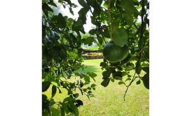 vendo casa finca campestre Sopetrán Antioquia. 2500 m2 JCR
