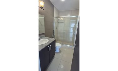 Alquiló coco de el mar