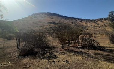 Sitio en Venta en Panamericana Norte