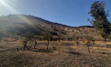 Sitio en Venta en Panamericana Norte