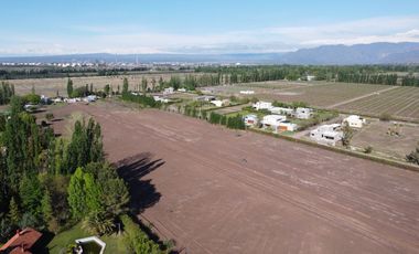 Venta Lotes Barrio Verona Vistalba Lujan de Cuyo