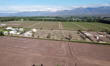 Venta Lotes Barrio Verona Vistalba Lujan de Cuyo