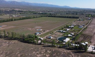 Venta Lotes Barrio Verona Vistalba Lujan de Cuyo