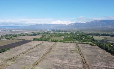 Venta Lotes Barrio Verona Vistalba Lujan de Cuyo