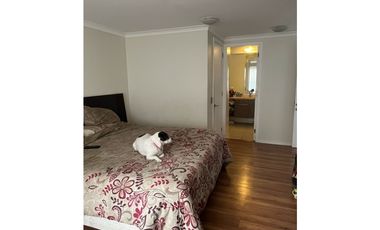 CURAUMA / CONDOMINIO ALERCE / 5D 4B SE 2E / 410 M2