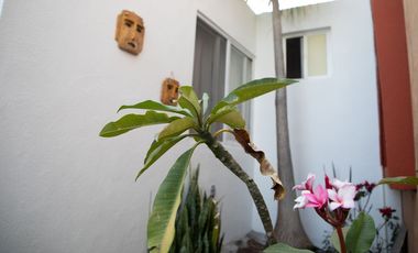 Casa Amueblada en Renta en Villa Universidad, Morelia