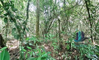 VENDO 2.5 HECTAREAS TIERRA NEGRA PLANA SAN.CARLOS.DAVID