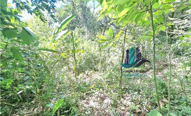 VENDO 2.5 HECTAREAS TIERRA NEGRA PLANA SAN.CARLOS.DAVID