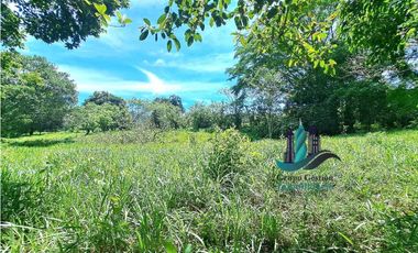 VENDO 2.5 HECTAREAS TIERRA NEGRA PLANA SAN.CARLOS.DAVID