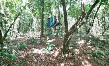 VENDO 2.5 HECTAREAS TIERRA NEGRA PLANA SAN.CARLOS.DAVID