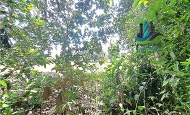 VENDO 2.5 HECTAREAS TIERRA NEGRA PLANA SAN.CARLOS.DAVID