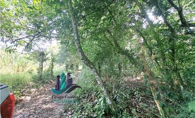 VENDO 2.5 HECTAREAS TIERRA NEGRA PLANA SAN.CARLOS.DAVID