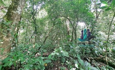 VENDO 2.5 HECTAREAS TIERRA NEGRA PLANA SAN.CARLOS.DAVID