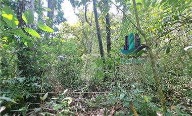 VENDO 2.5 HECTAREAS TIERRA NEGRA PLANA SAN.CARLOS.DAVID