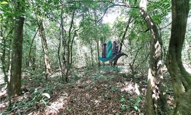 VENDO 2.5 HECTAREAS TIERRA NEGRA PLANA SAN.CARLOS.DAVID