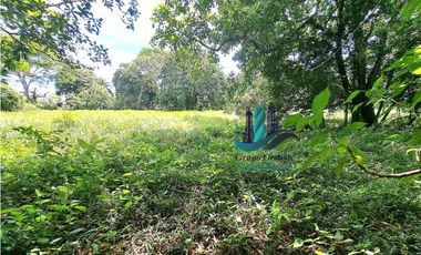 VENDO 2.5 HECTAREAS TIERRA NEGRA PLANA SAN.CARLOS.DAVID