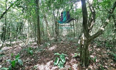 VENDO 2.5 HECTAREAS TIERRA NEGRA PLANA SAN.CARLOS.DAVID