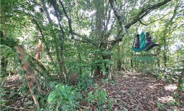 VENDO 2.5 HECTAREAS TIERRA NEGRA PLANA SAN.CARLOS.DAVID