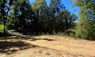 Parcela en venta en CONCEPCIÓN