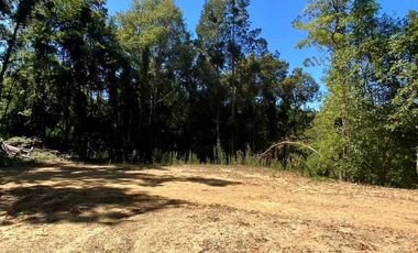 Parcela en venta en CONCEPCIÓN